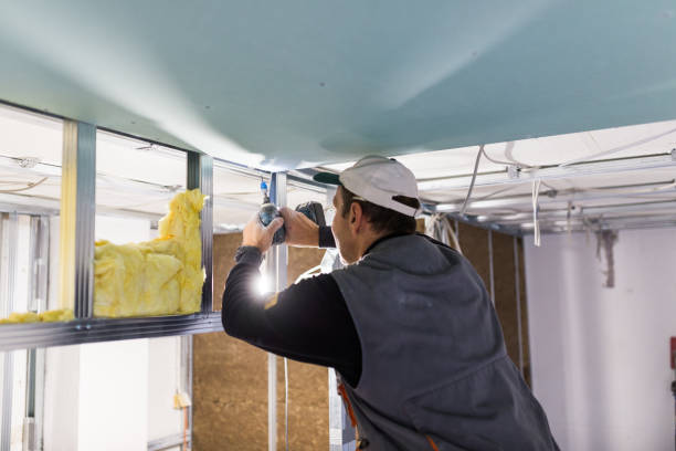 Best Energy Efficiency Insulation in Bel Ridge, MO