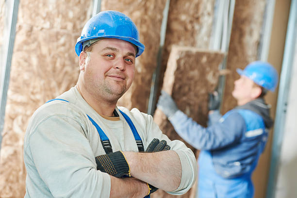 Best Eco-Friendly Insulation in Bel Ridge, MO