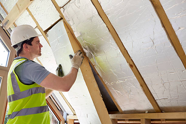 Best Geographic-Specific Insulation Services in Bel Ridge, MO